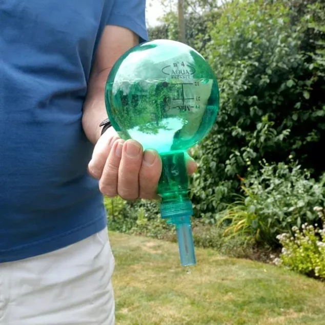 Flower Power Watering Globe