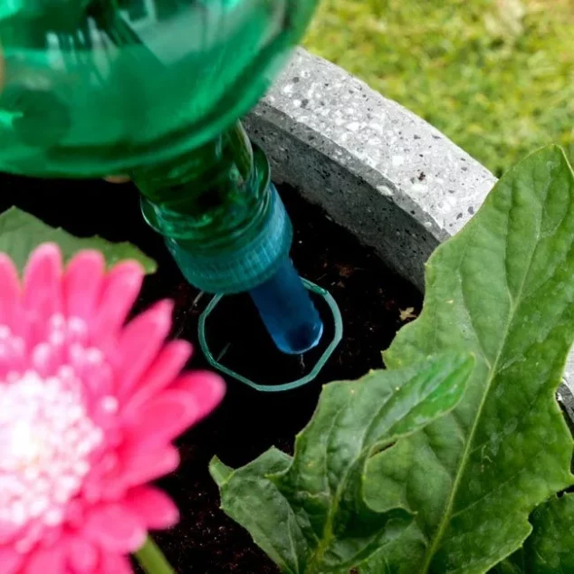 Flower Power Watering Globe placed in pot