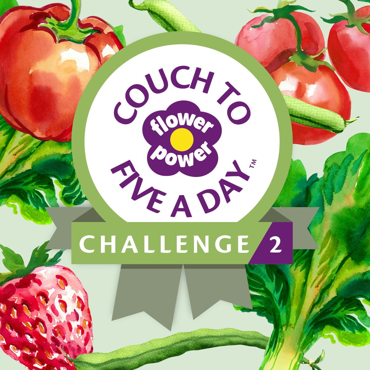 Couch to Five a Day 2 product image
