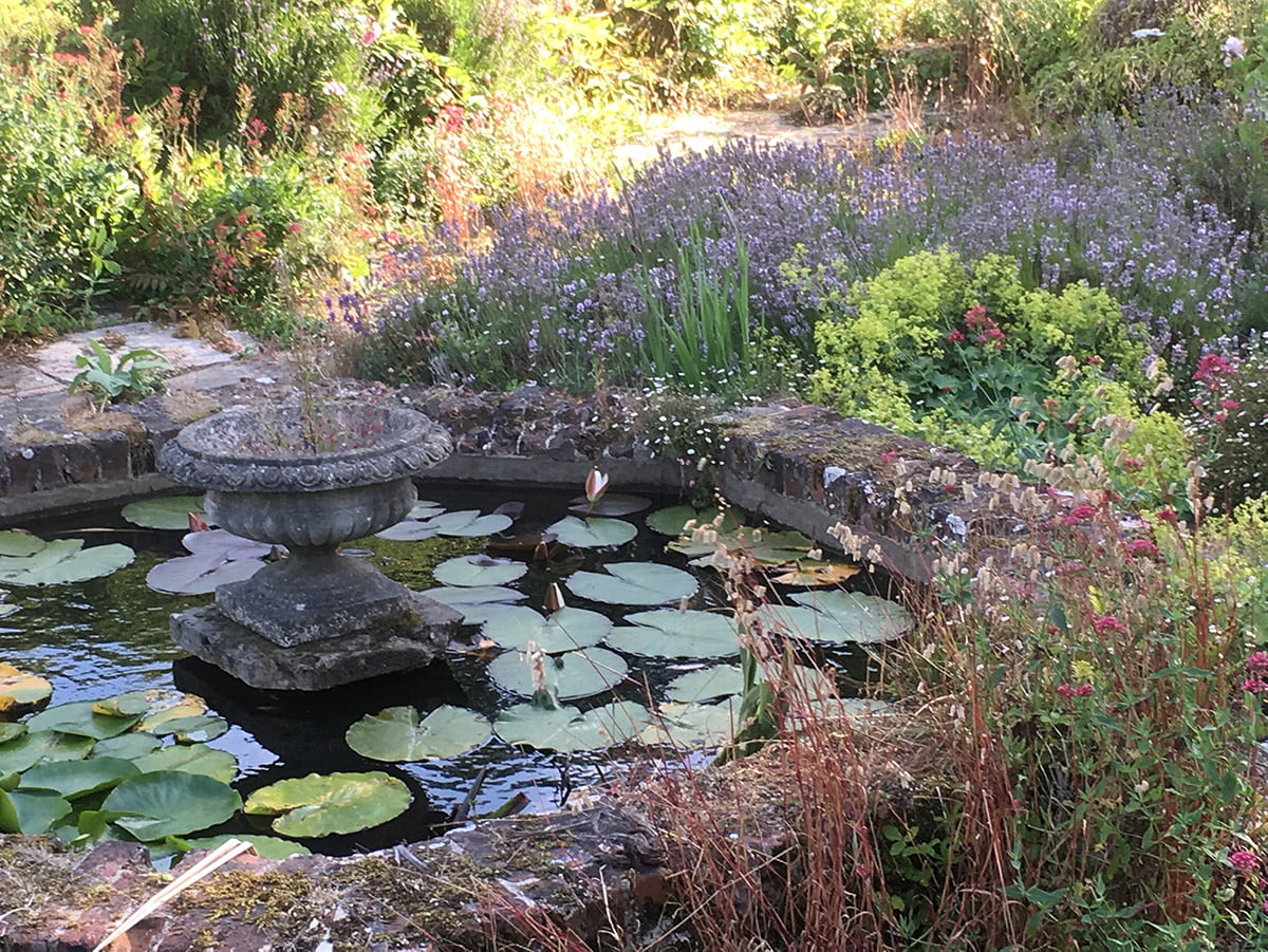 Garden pond