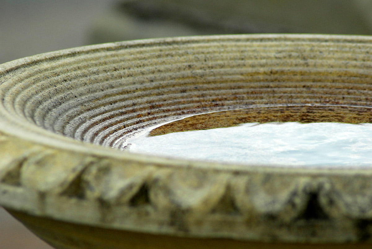 bird bath close up