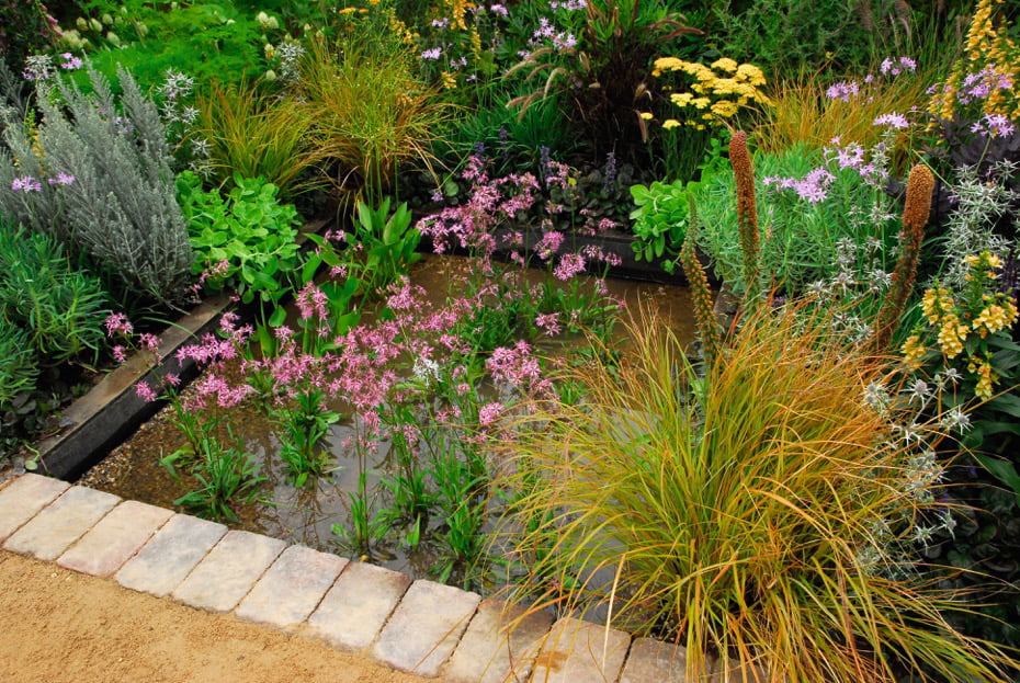 small garden pond