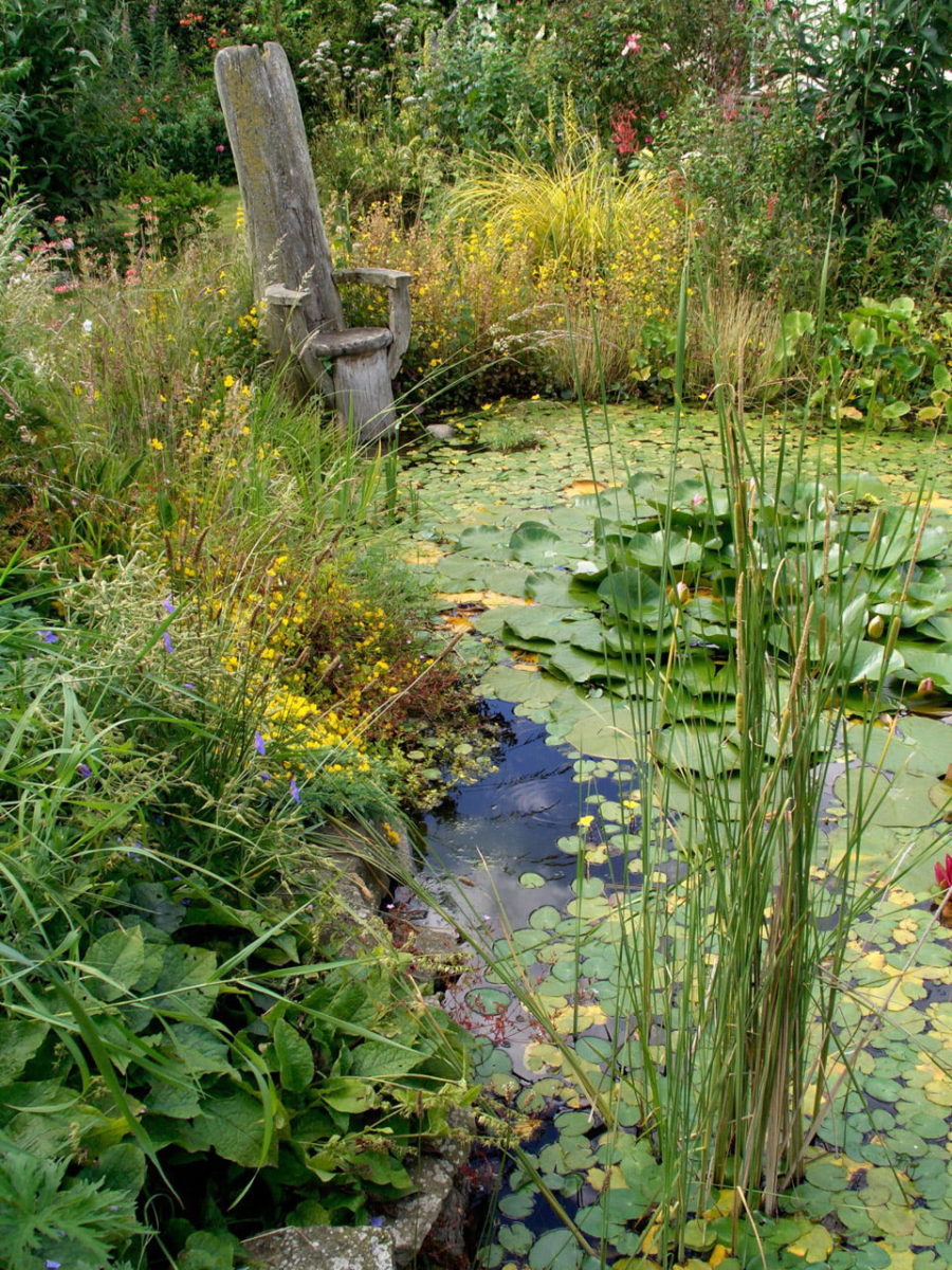 natural garden pond