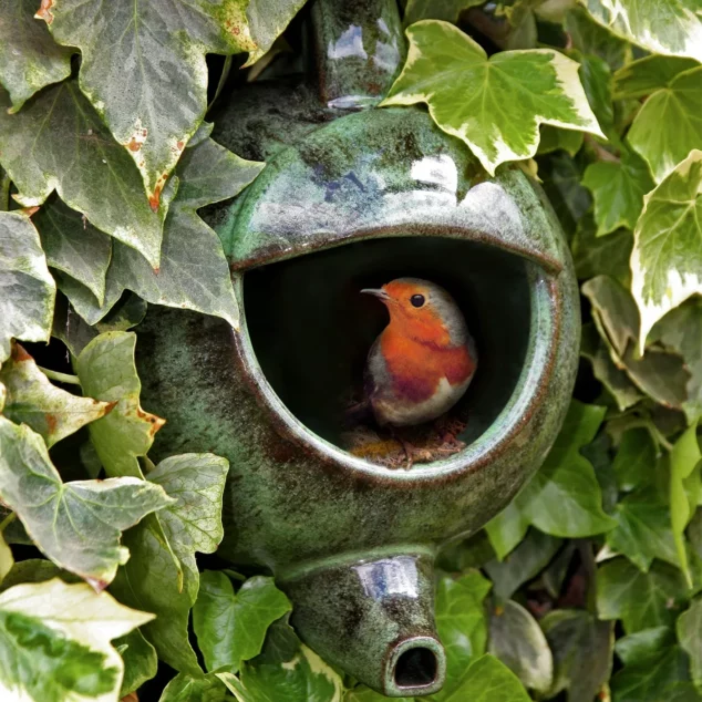Robin in teapot nester_1200px Wildlife World Ceramic Teapot Nester