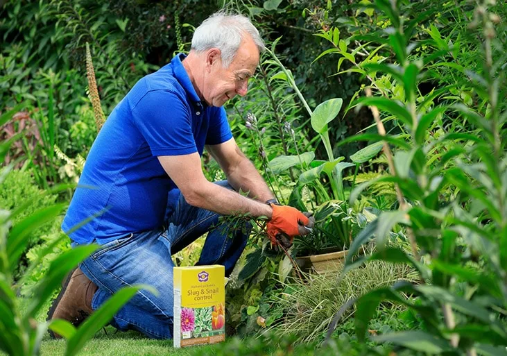 Richard sprinkling Slug & Snail Control pellets around potted plant