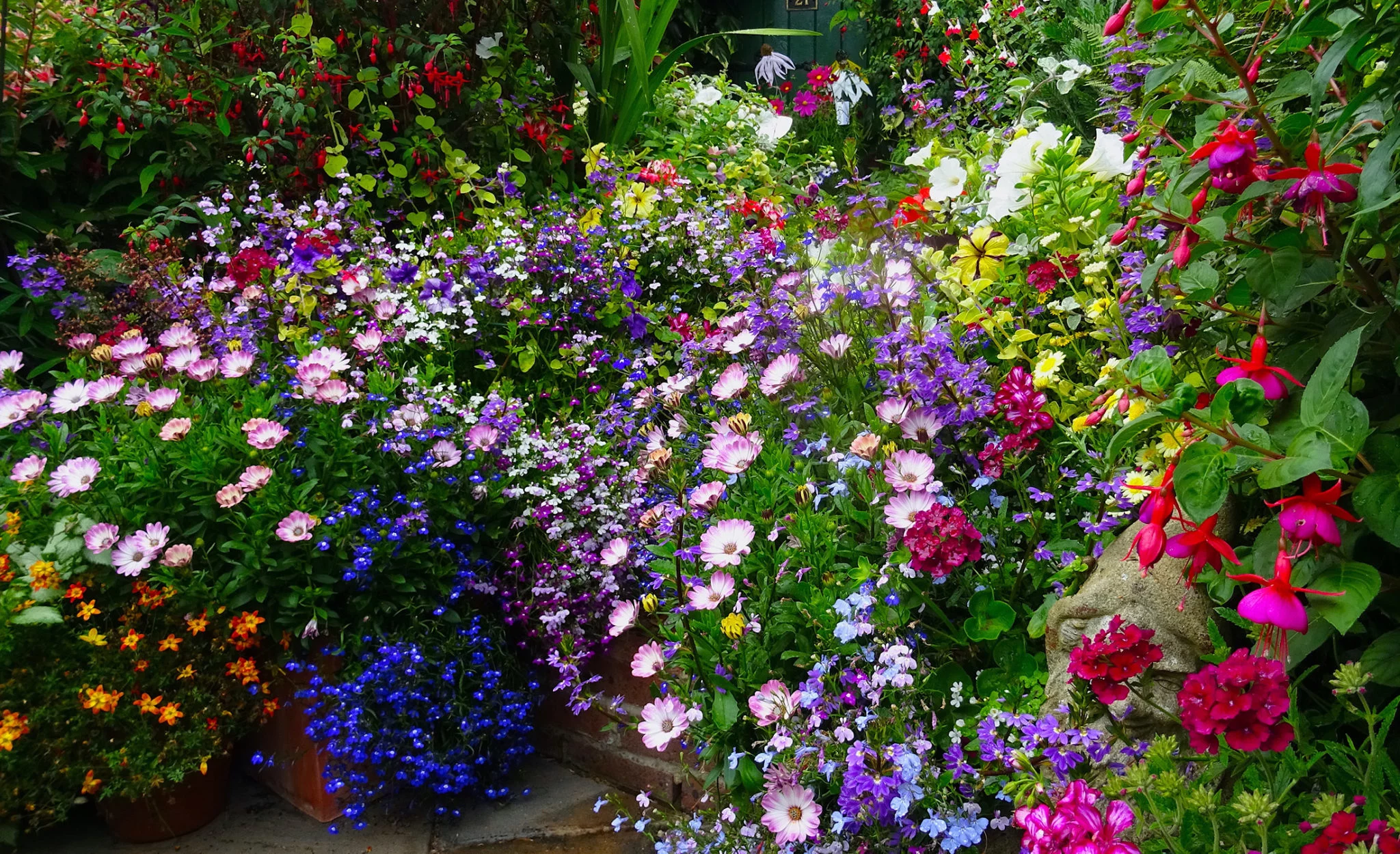 a beautiful mix of colourful flowers at Driftwood