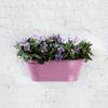 Elho Corsica wall basket 39cm vivid violet