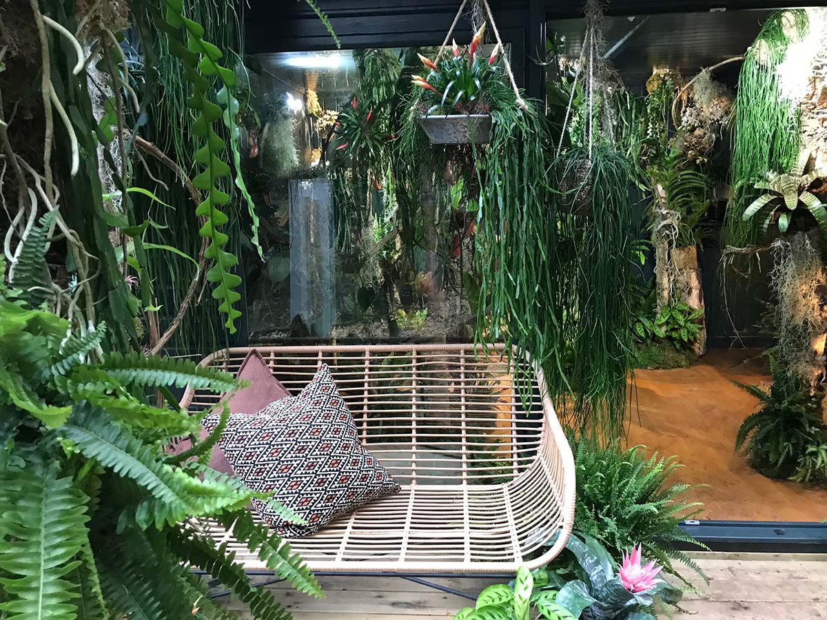 Forest in your Home - Chelsea Flower Show 2021
