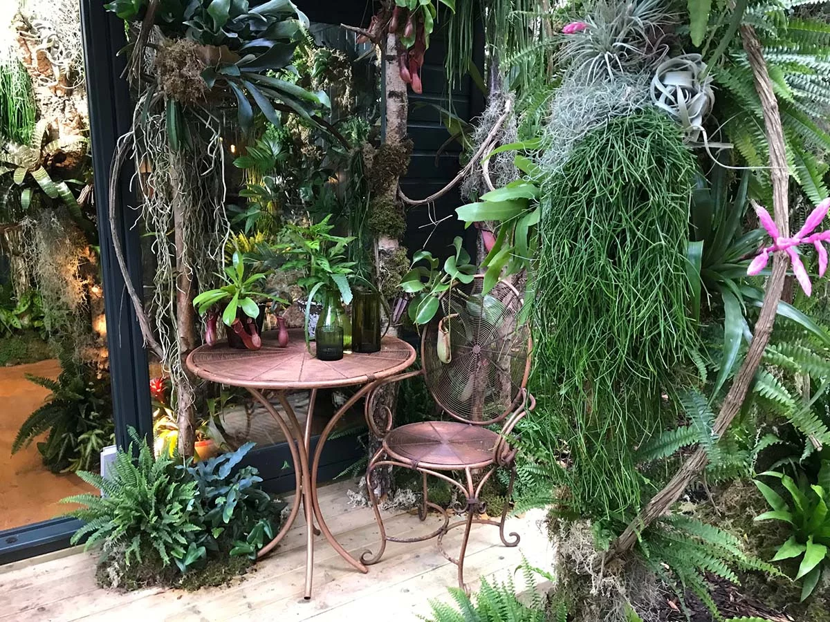 Forest in your Home - Chelsea Flower Show 2021