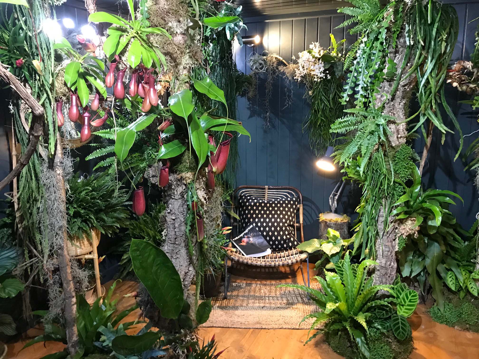 Forest in your Home - Chelsea Flower Show 2021