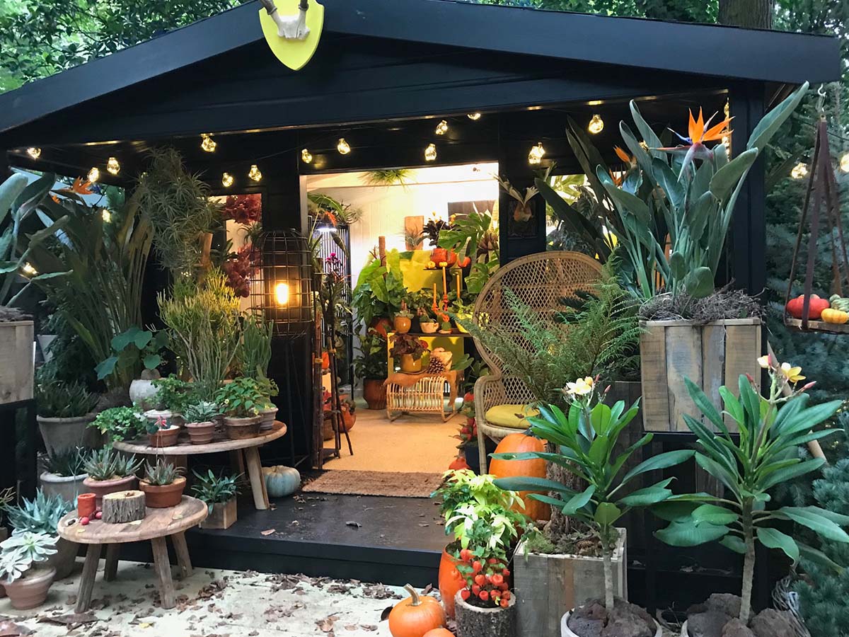 Celebrate Autumn with Houseplants - Chelsea Flower Show 2021