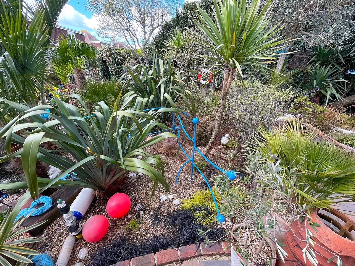 Torbay palm and phormiums at Driftwood garden
