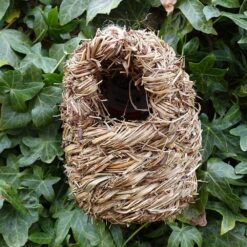 Oval Nest Pocket from Wildlife World