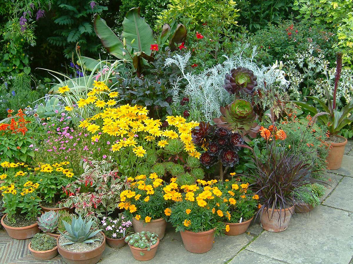 Great Dixter 2005
