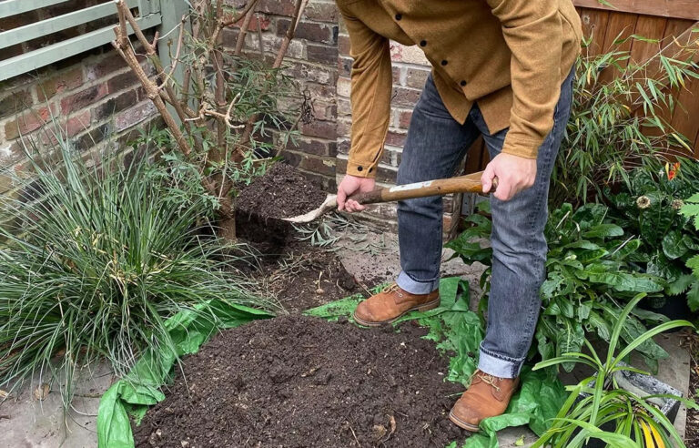 Martyn Cox moving a plant