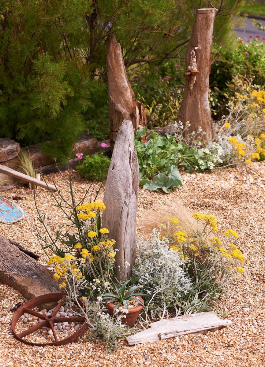 The beach garden at Driftwood