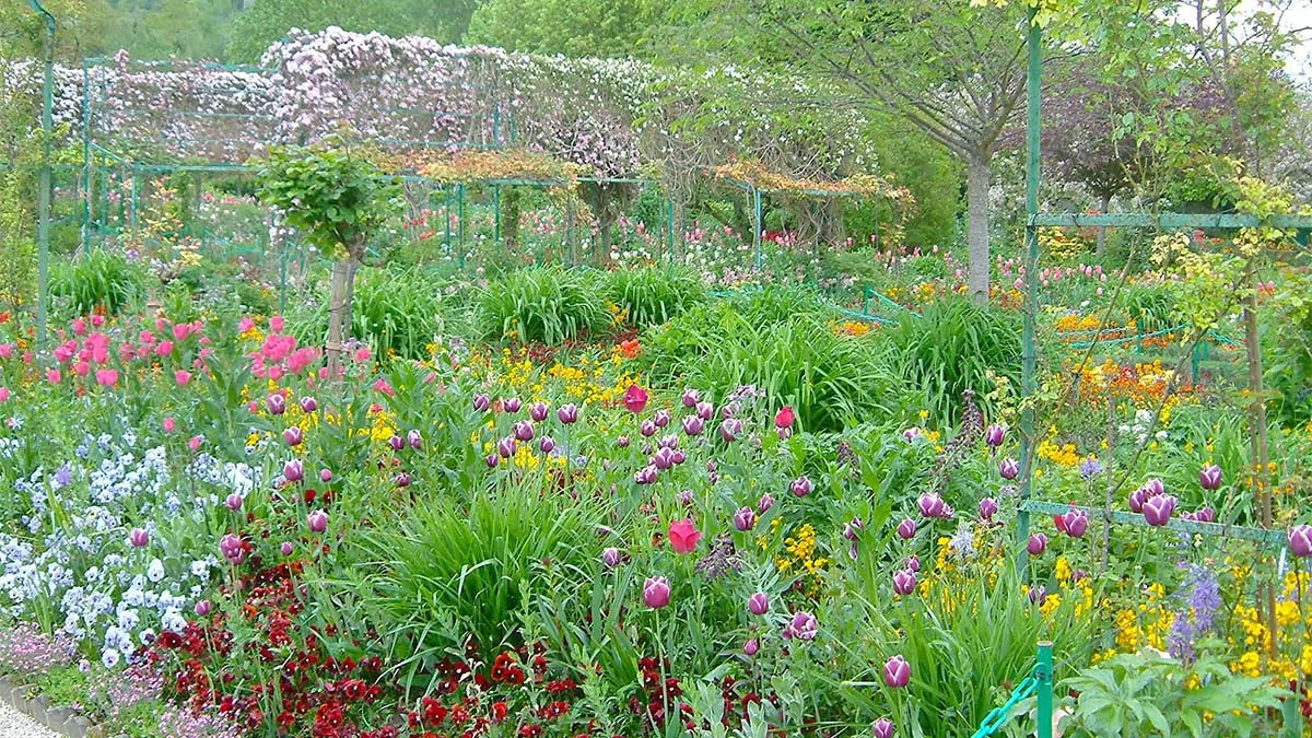 Monet's garden at Giverney
