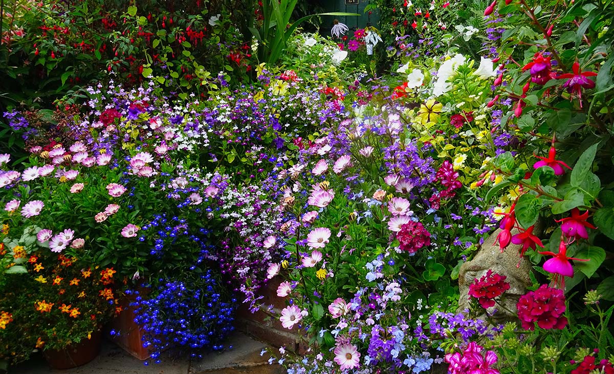 Geoff Stonebanks' Giverny inspired patch of garden at Driftwood