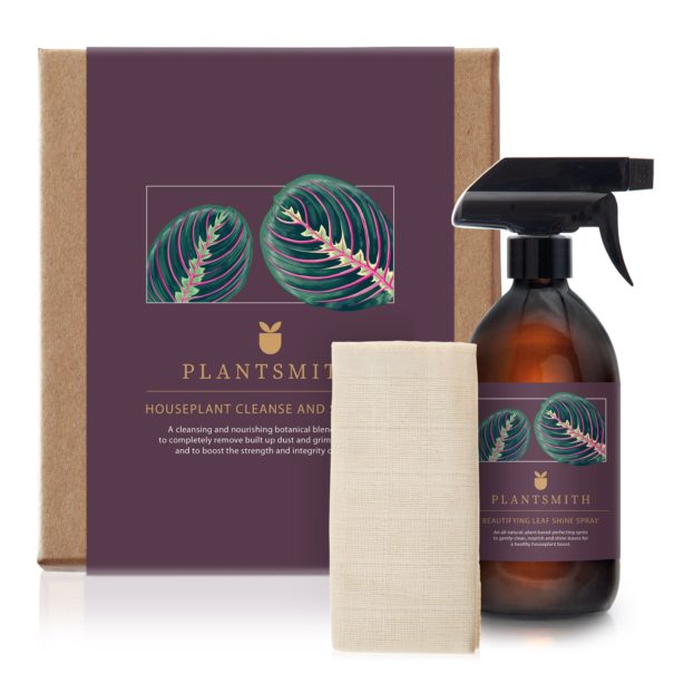 Plantsmith Houseplant Cleanse and Shine Gift Set