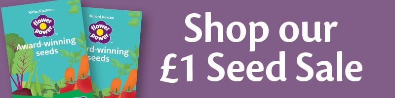 Shop our £1 Seed Sale! - Save up to £2.29