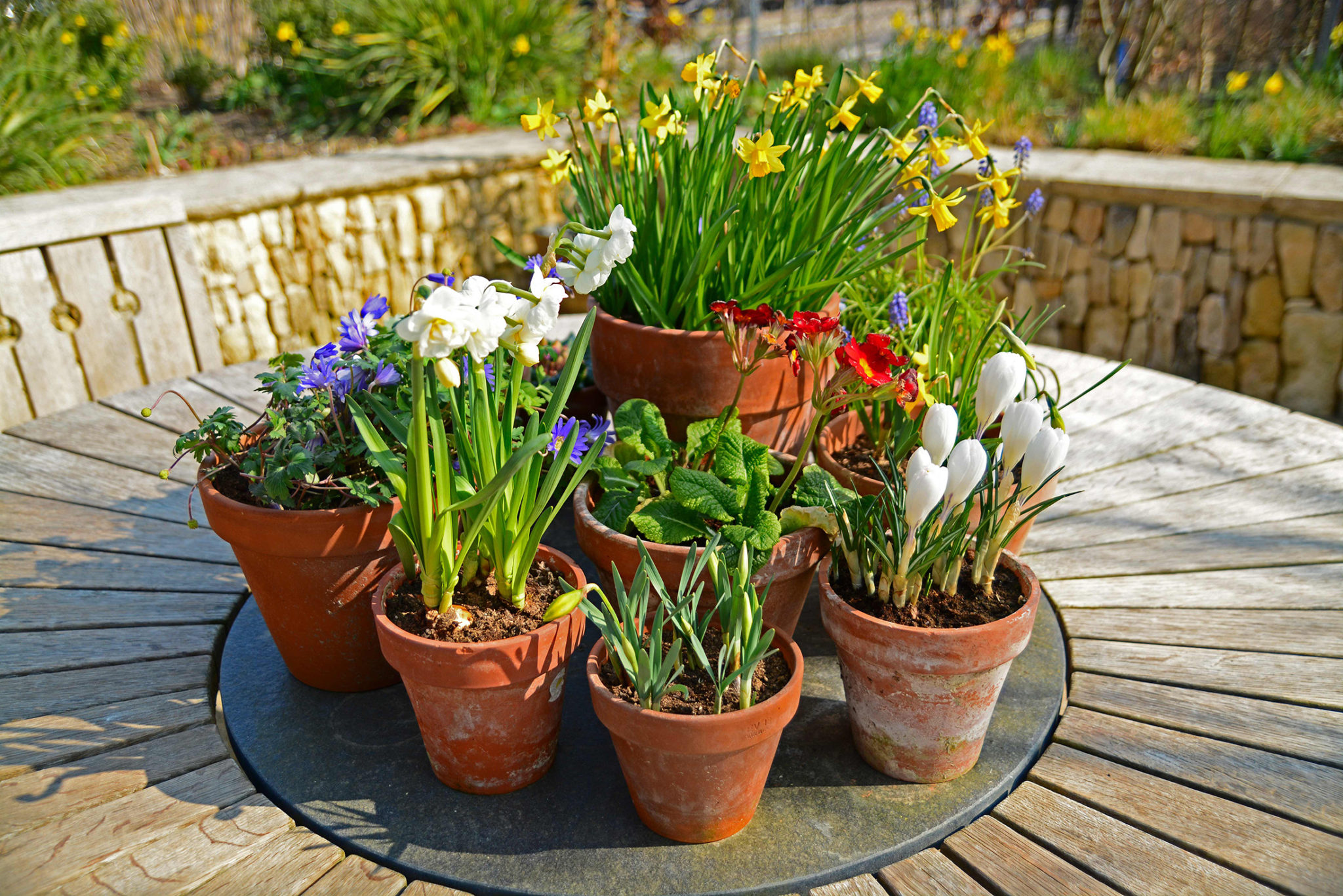 collection of spring pots on garden table