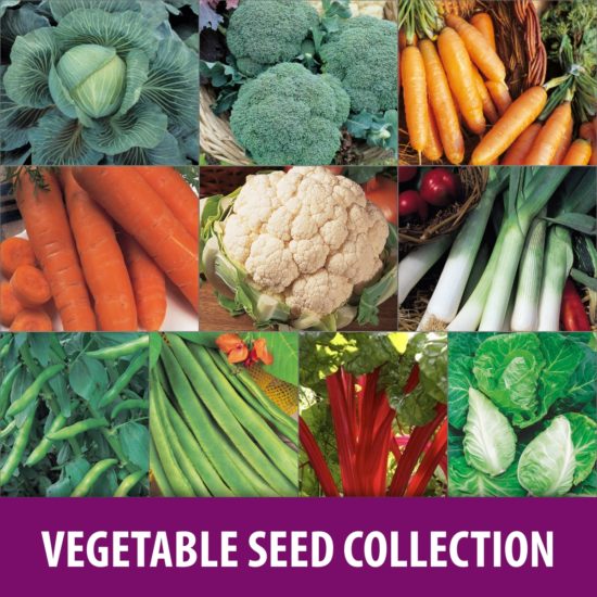 vegetable Seed Collection