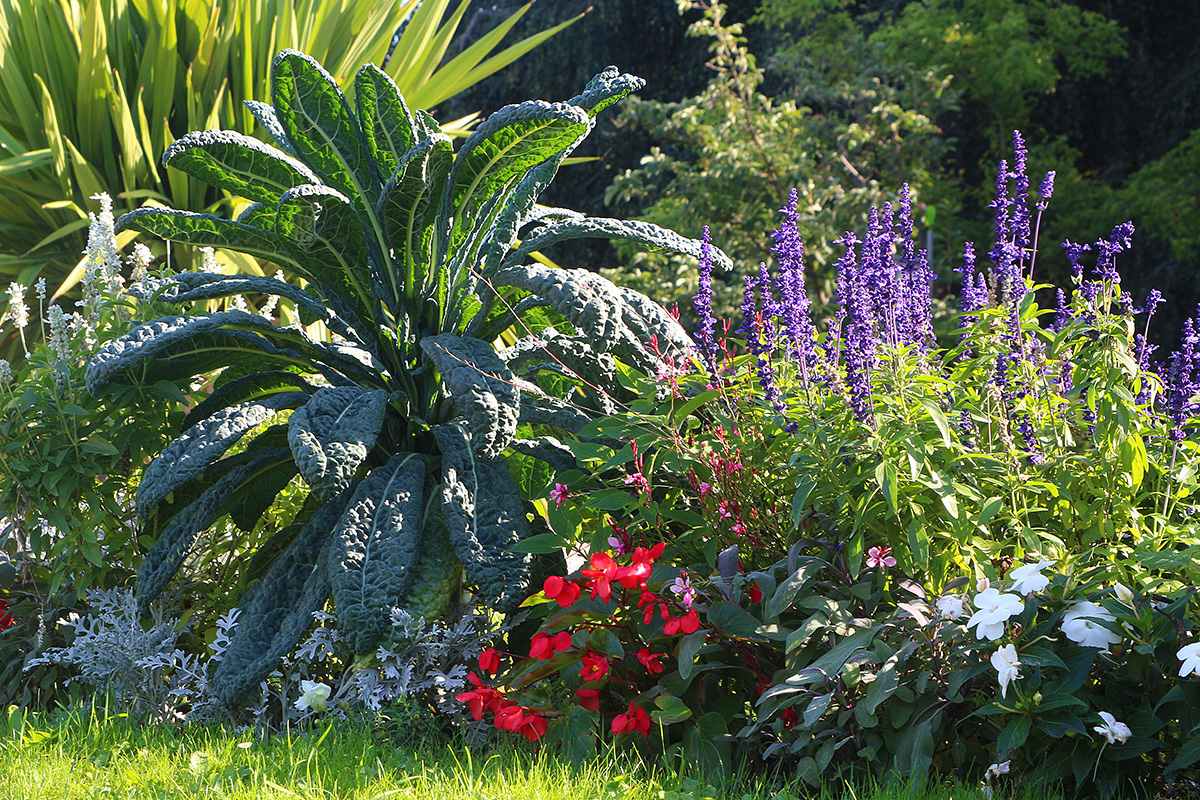 vegetables and flowers in mixed border