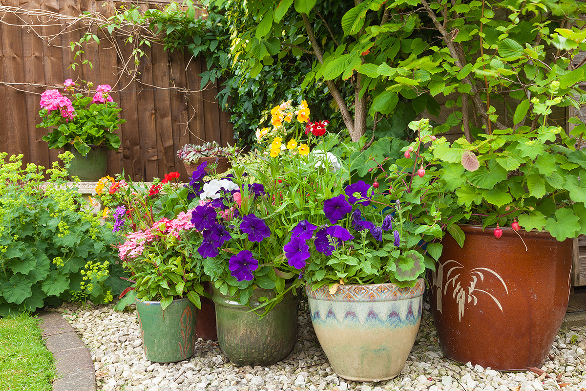 How to Create Sensational Pots and Planters