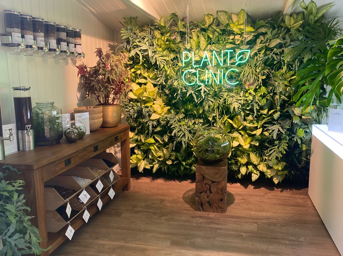 The Plant Clinic, Houseplant Studios Chelsea 2022