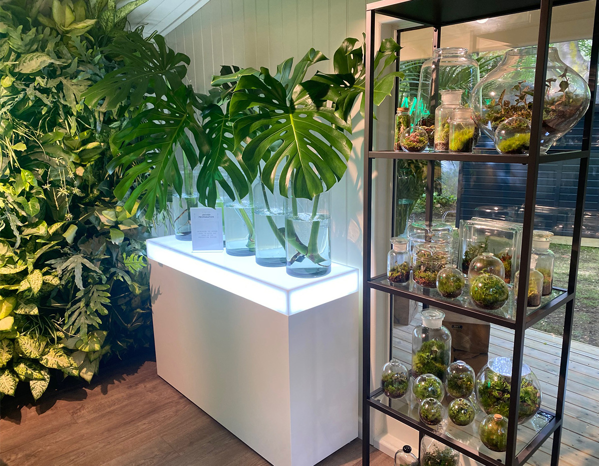 The Plant Clinic, Houseplant Studios Chelsea 2022