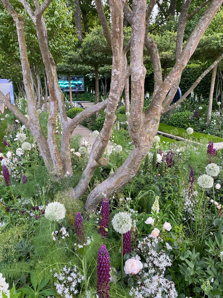 The Perennial 'With Love' Garden Chelsea 2022