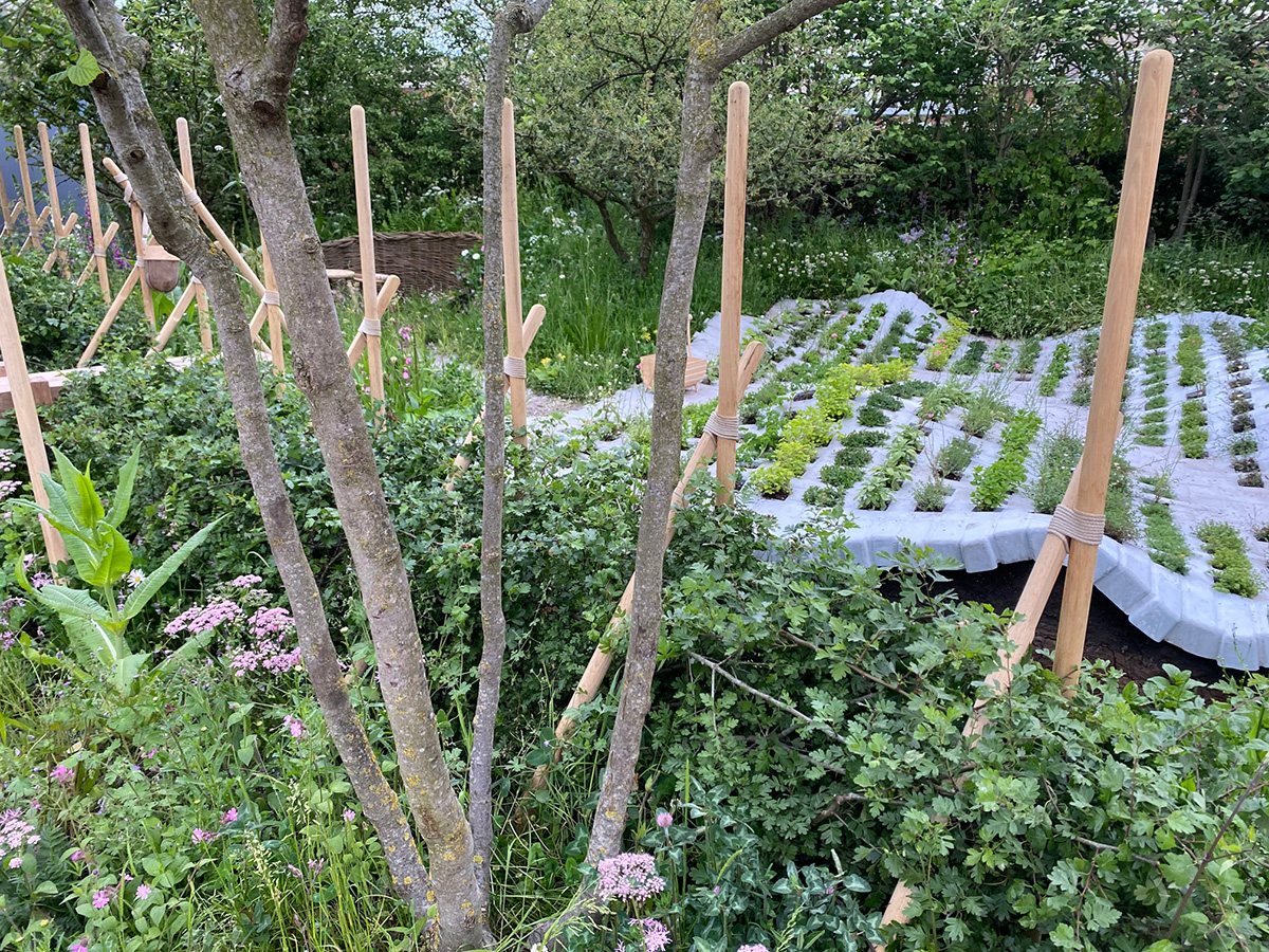 Alder Hey Foraging Garden Chelsea 2022