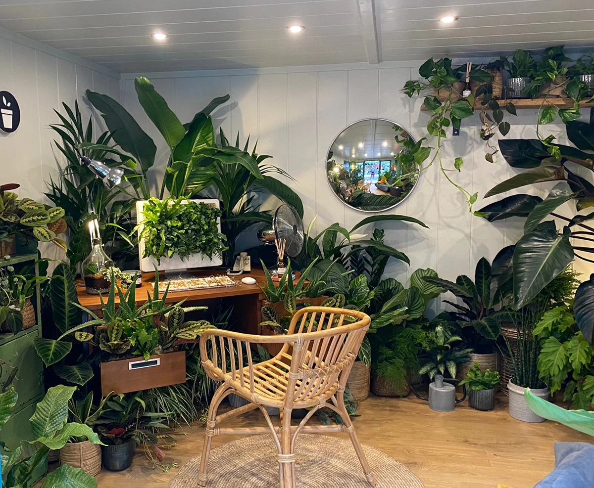 The Plant Workshop, Houseplant Studios Chelsea 2022