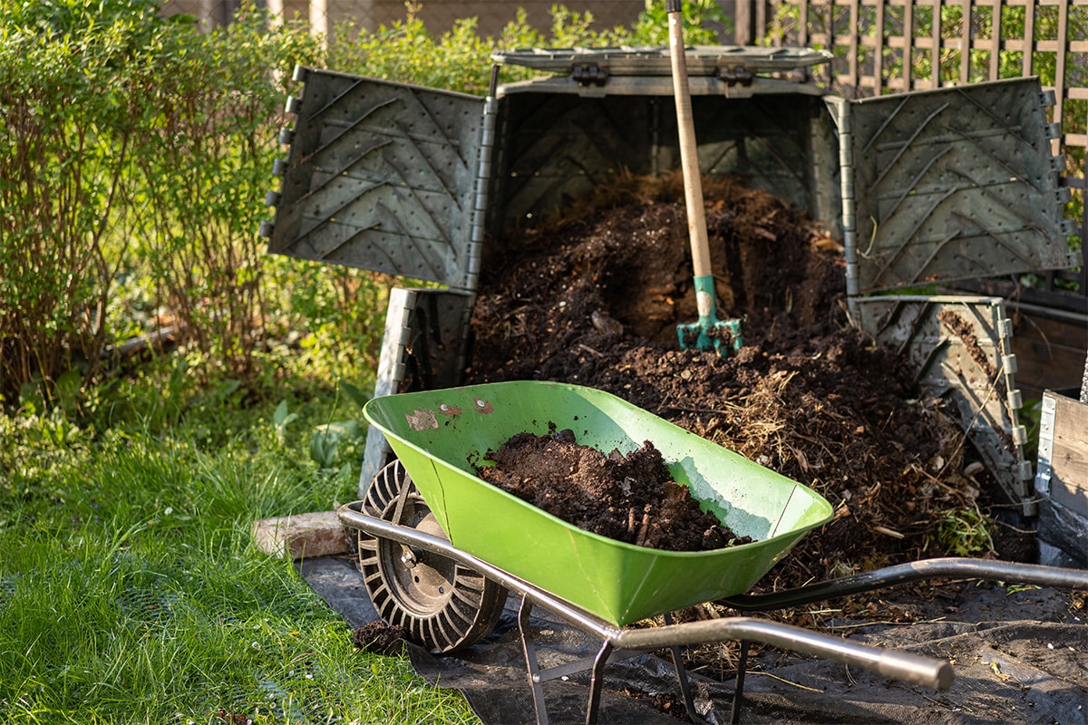 homemade compost