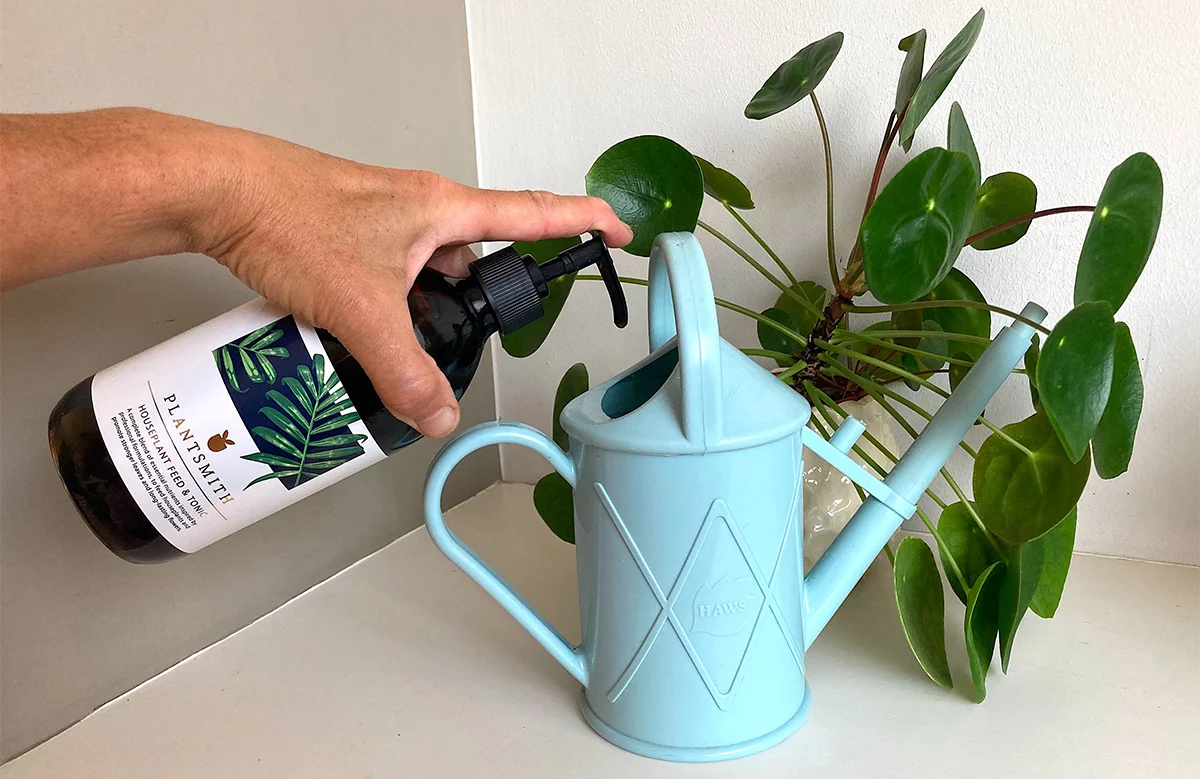 Adding Plantsmith Fortifying Houseplant Tonic to watering can