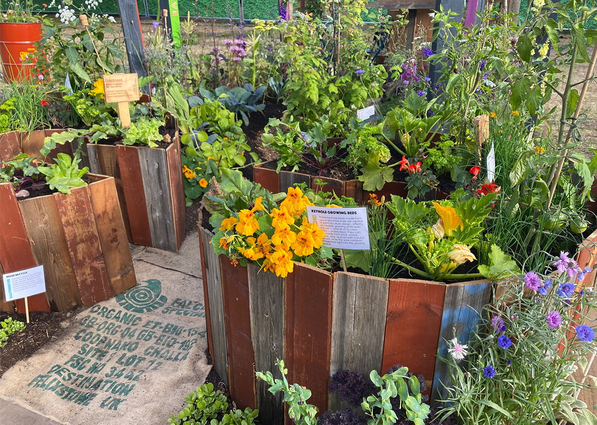 Grow the Universe at Hampton Court Flower Show 2022