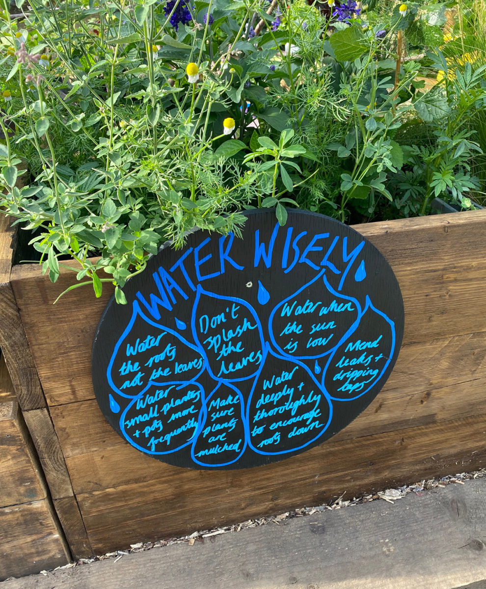 Grow the Universe at Hampton Court Flower Show 2022