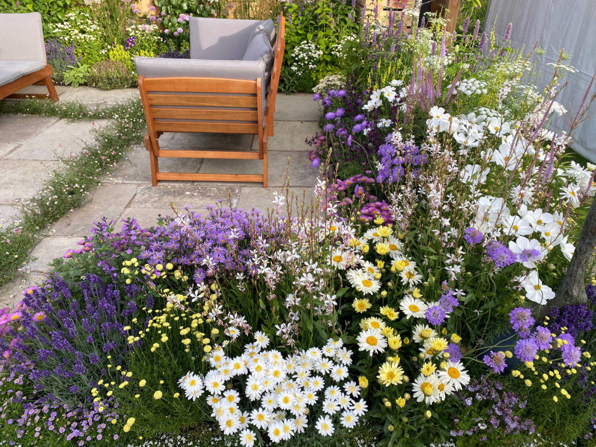 Knolling with Daisies Hampton Court Flower Show 2022