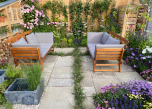 Knolling with Daisies Hampton Court Flower Show 2022
