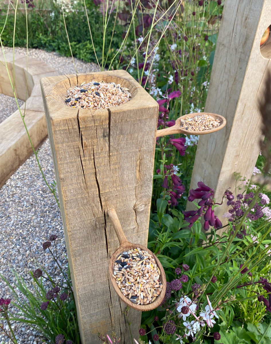 Wooden Spoon Garden Hampton Court Flower Show 2022