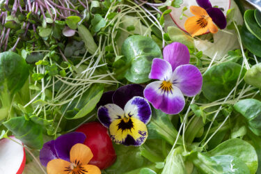 Edible flowers (pansies) in a salad.
