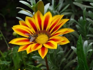 Summer 2022 Photo Competition Winner