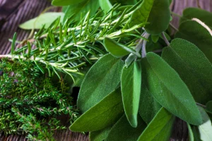 Sage, rosemary and thyme