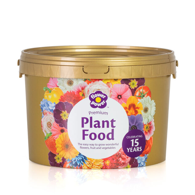 Gold Celebration Flower Power 2.65kg tub