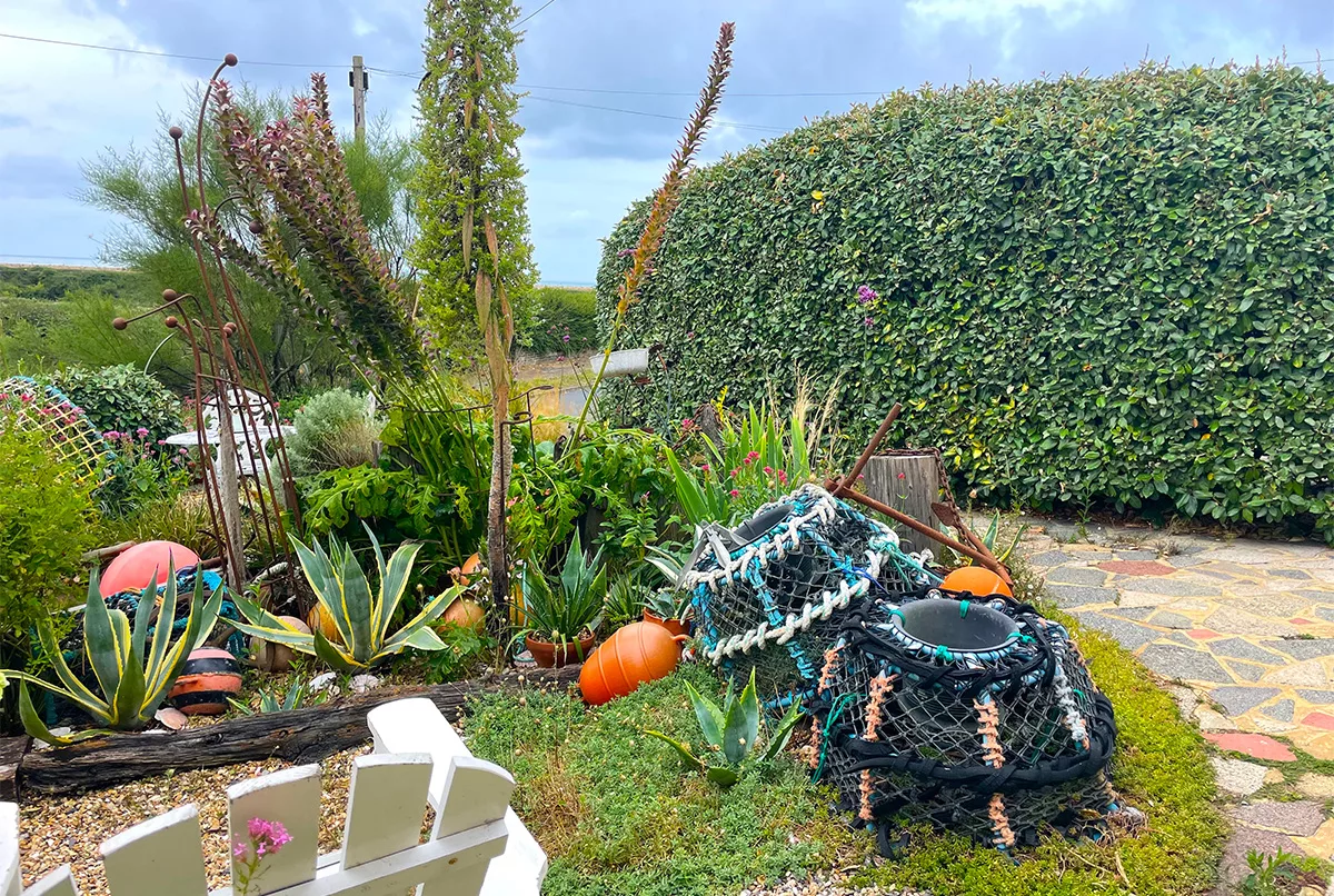 Driftwood Garden