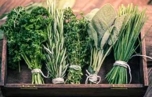 parsley, rosemary, thyme, sage and chives