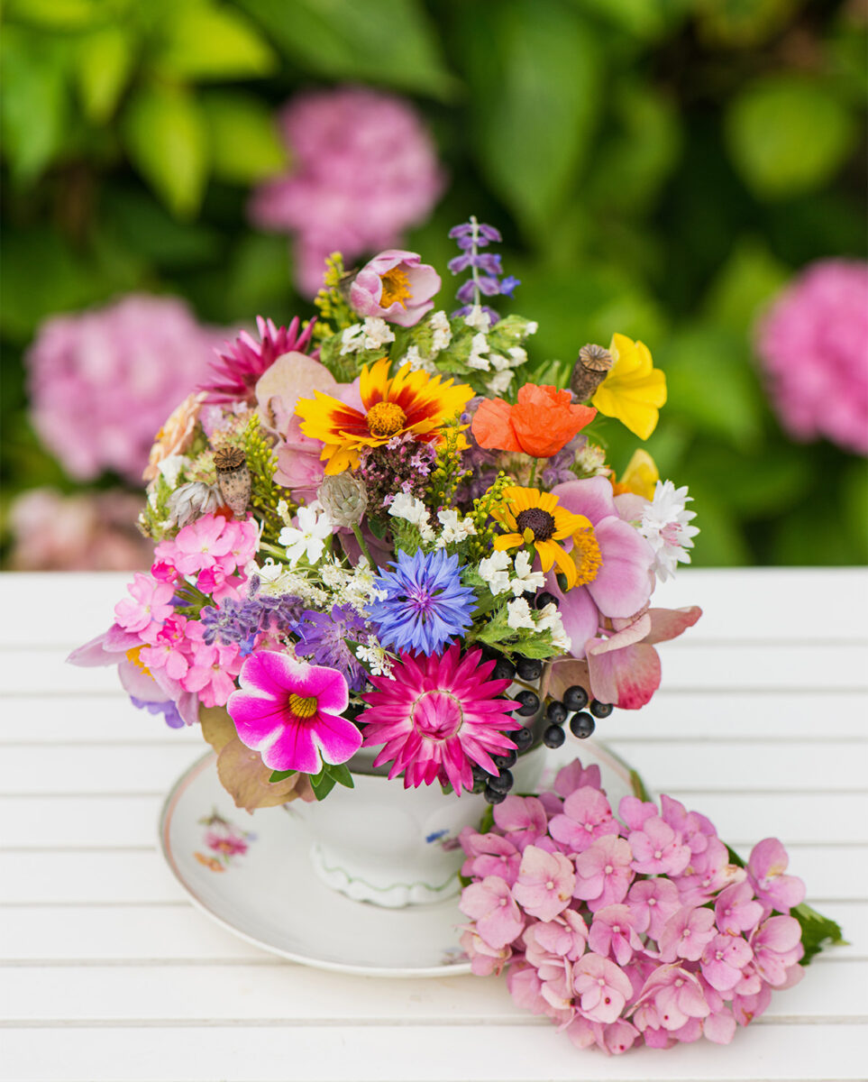 wild flowers in a teacup