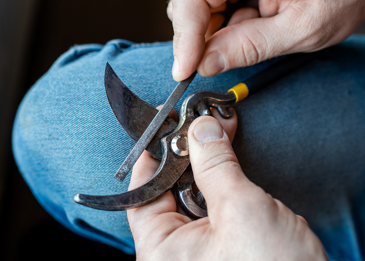 Many sharpening garden secateurs