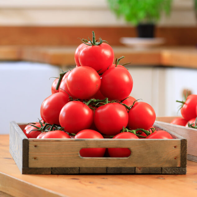 Fresh tomatoes