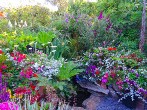 containers and pots around pond at Driftwood